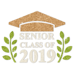 Senior Class Of 2019 Sparkle Glitter Transfer